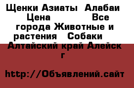 Щенки Азиаты (Алабаи) › Цена ­ 20 000 - Все города Животные и растения » Собаки   . Алтайский край,Алейск г.